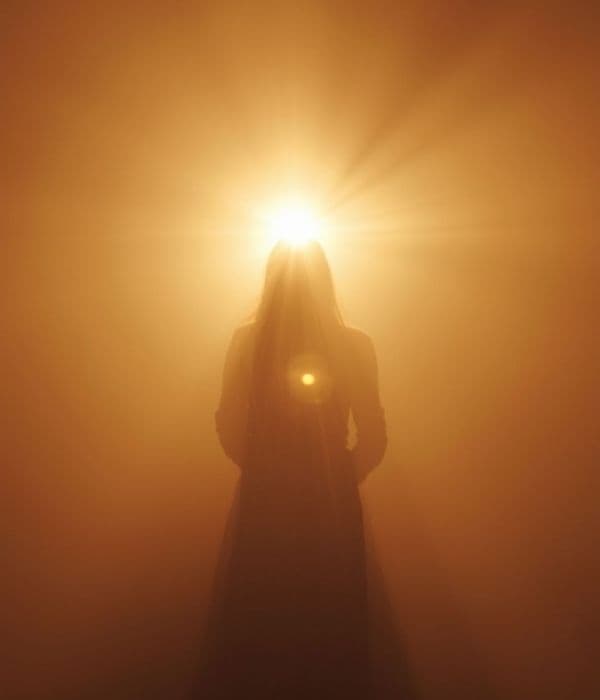 Receive your blueprint